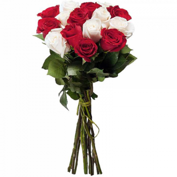 Букет из 19 красной и белой розы роз